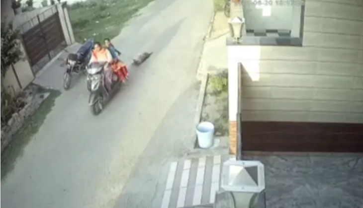 Crime Caught on CCTV: Two women tie dog to scooty, drag it to death
