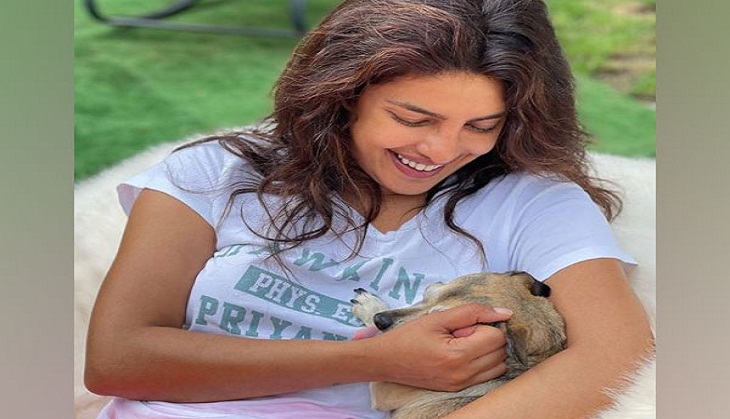 Priyanka Chopra reunites with her furry friends; shares adorable pic