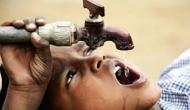 Pakistan: Famine-like situation may arise in country due to scarcity of water, warn experts 