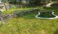 India's first cryptogamic garden inaugurated in Dehradun 