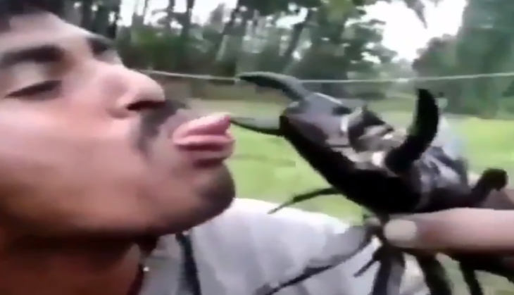 Man kisses scorpion