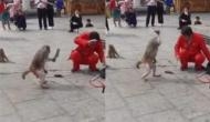 बंदर को आया गुस्सा तो मदारी पर कर दिया चाकू से हमला, वीडियो में देखें फिर हुआ क्या