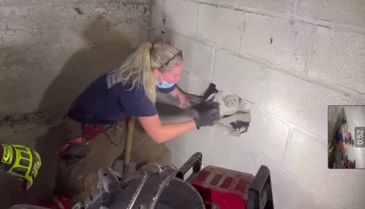 Dog rescue viral News