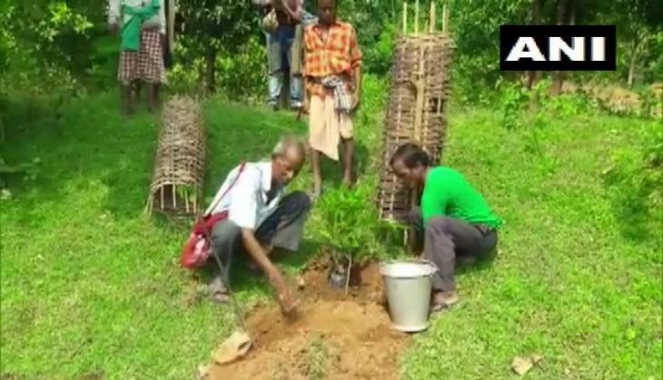 Odisha: 72-year-old Tree Teacher plants more than 30,000 trees over 60 years 