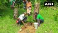Odisha: 72-year-old Tree Teacher plants more than 30,000 trees over 60 years 