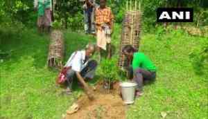Odisha: 72-year-old Tree Teacher plants more than 30,000 trees over 60 years 
