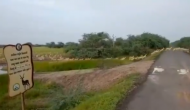 सड़क पार करते एकसाथ दिखे 3000 काले हिरण, पीएम मोदी ने वीडियो रिट्वीट करते हुए कही ये बात