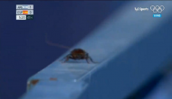 Tokyo Olympic: Cameraman records cockroach during women’s hockey match; hilarious video goes viral