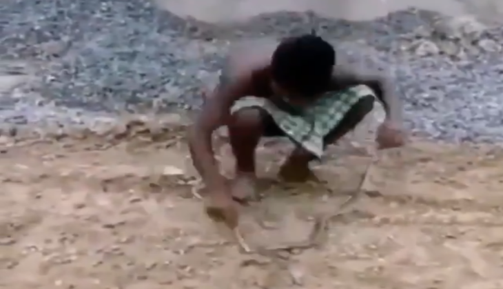 Snake attack