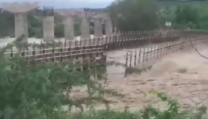 Terrifying video shows bridge swept away in flood fury in MP 
