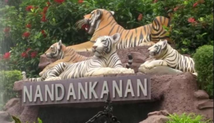 Odisha: Nandankanan Zoo reopens for visitors after three months 