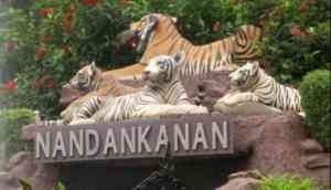 Odisha: Nandankanan Zoo reopens for visitors after three months 