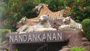 Odisha: Nandankanan Zoo reopens for visitors after three months 