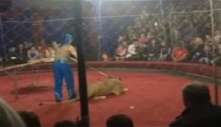 Circus