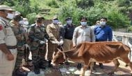 Indian Army upholds beacon of peace, returns cattle of POK 