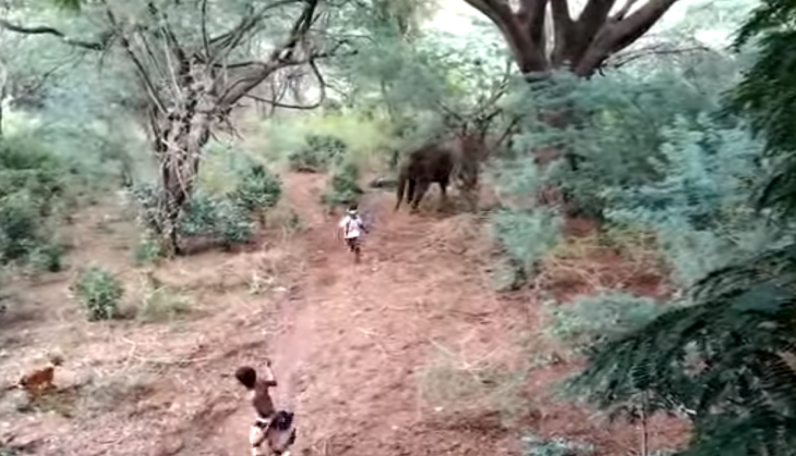 Angry elephant attack