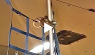 Scary! Snake found inside flight; know what happens next