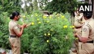 Kerala: This Onam, Alappuzha police station spreads joy, gives out flowers for making Pookkalams