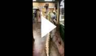 Man carries 22-foot-long snake on shoulder; video will leave your eyes wide open