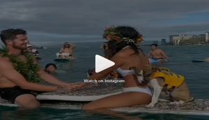 Bizarre Wedding! Groom and bride get married on boat while wearing beachwear; see video