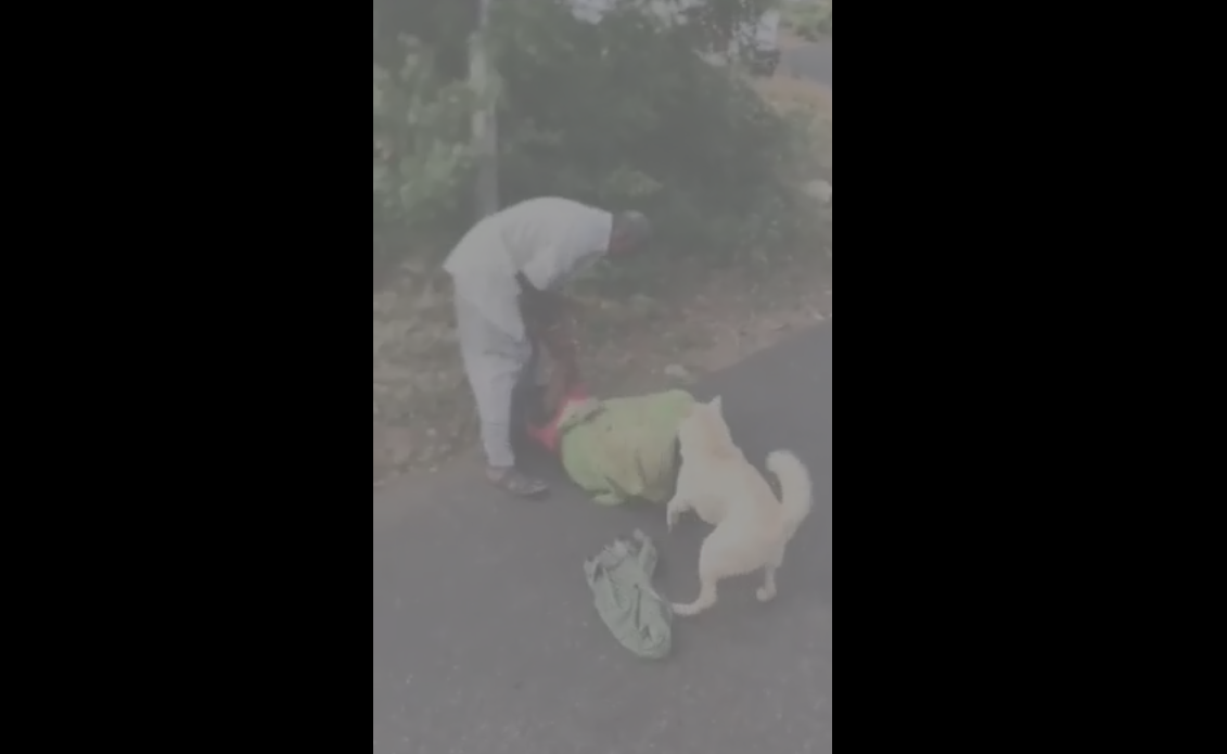 Man brutally attacks mother while dog comes to rescue her; video goes viral