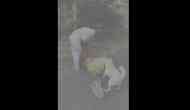 Man brutally attacks mother while dog comes to rescue her; video goes viral