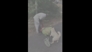 Man brutally attacks mother while dog comes to rescue her; video goes viral