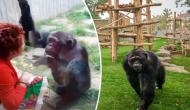 Woman gets banned from entering zoo for a bizarre reason!