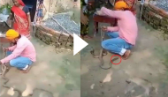 Man tries to tie rakhi on snakes; what happens next will terrify you!