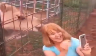 ऊंट के साथ सेल्फी ले रही महिला के साथ जानवर ने की ऐसी हरकत, वीडियो देखकर निकल जाएगी हंसी