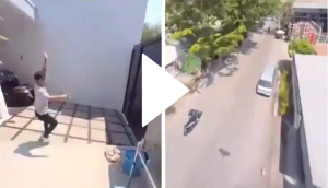 Parrot flies away with mobile phone; what happens next will blow your mind!