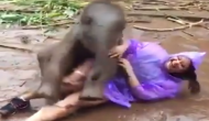 हाथी के बच्चे की टांग पकड़कर खींचना युवक को पड़ा भारी, वीडियो में देखें गजराज ने किया क्या