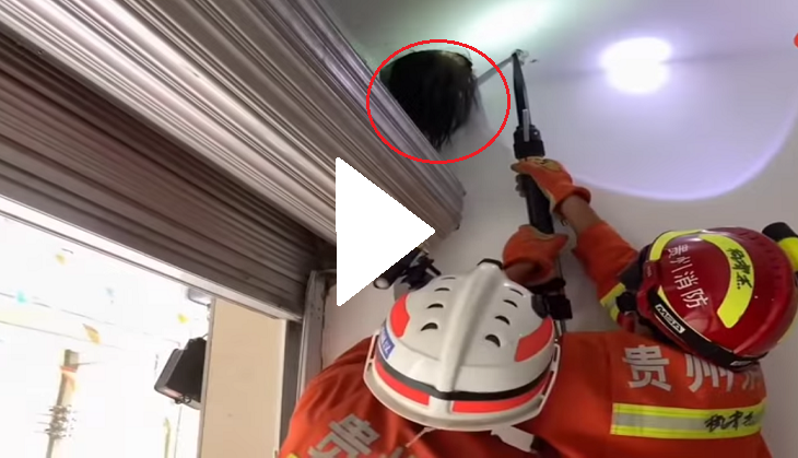Couple left horrified after seeing head full of hair jutting out from wide hole on wall; scary video goes viral