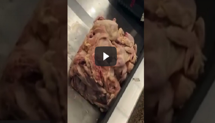 Passengers left disgusted after a large heap of raw chicken meat spotted on luggage conveyor belt [WATCH]