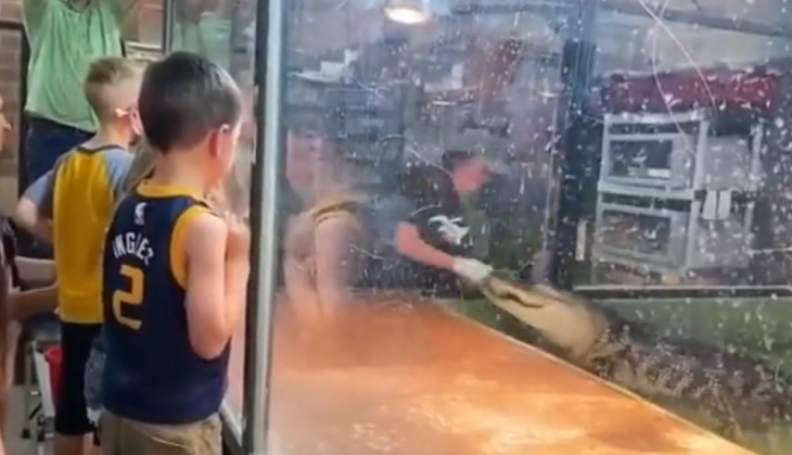 Crocodile attack