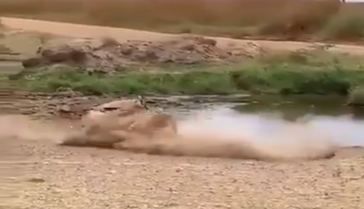 Lion attack