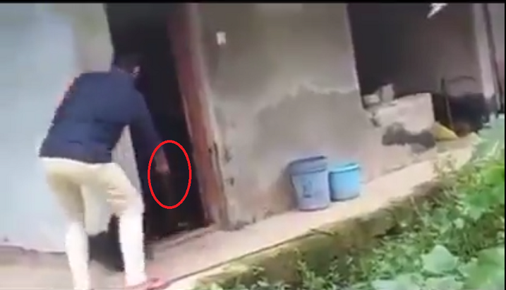 Man tries to rescue king cobra; what happens next will shock you!