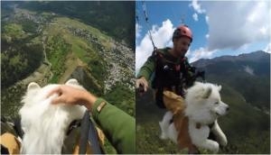 Paragliding video of 3-year-old dog with hooman will give you goosebumps!
