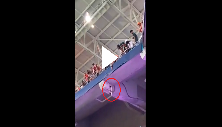 Cat falls from upper deck of the stadium during football match; scary video goes viral