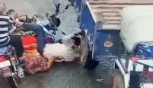 टूटी सड़क पर ट्रैक्टर के सामने गिर गया बाइक सवार, वीडियो में देखें सिर के ऊपर से उतर गया पहिया और फिर...