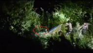 Forest official tries to capture sloth bear; what happens next will scare you!