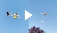 Horrifying video shows bird attacking a drone delivering coffee mid-air