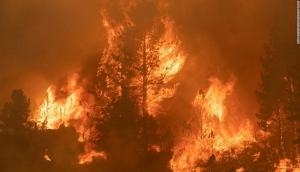 US: Over 1,600 firefighters battle new wildfire in northern California