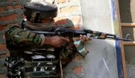 J-K: Encounter breaks out between forces, terrorists in Bandipora