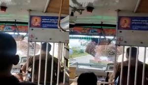 चलती बस पर हाथी ने कर दिया हमला, वीडियो में देखें फिर ड्राइवर ने किया क्या