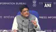 Union Cabinet approves ECGC IPO; investment of Rs 4,400 crore in next 5 years