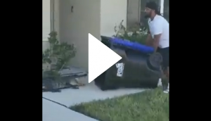 Man finds unique way to capture alligator; video will enthrall you