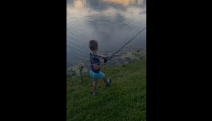 Alligator snatches little boy’s fish; spine-chilling video goes viral