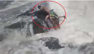 Fitness coach drowns while saving woman who jumped into stormy sea; tragic video goes viral