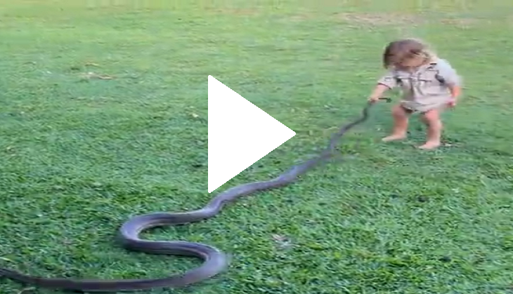 Boy catches snake with bare hands This young boy shows his bravery